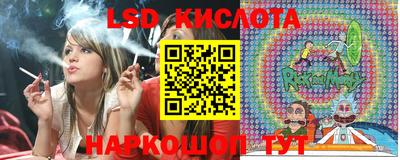 прущие грибы Жуковский
