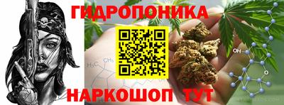 прущие грибы Жуковский