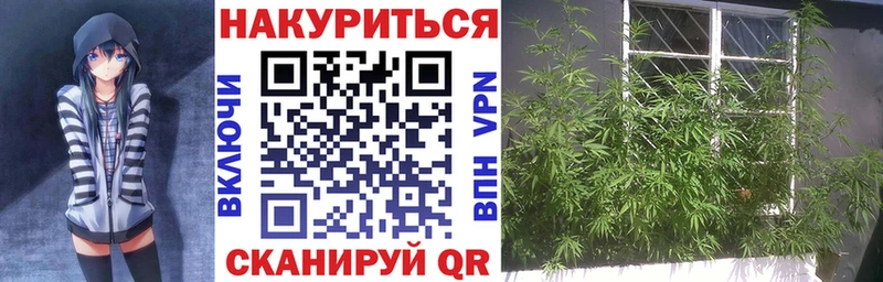 Канабис гибрид  Мариинск 